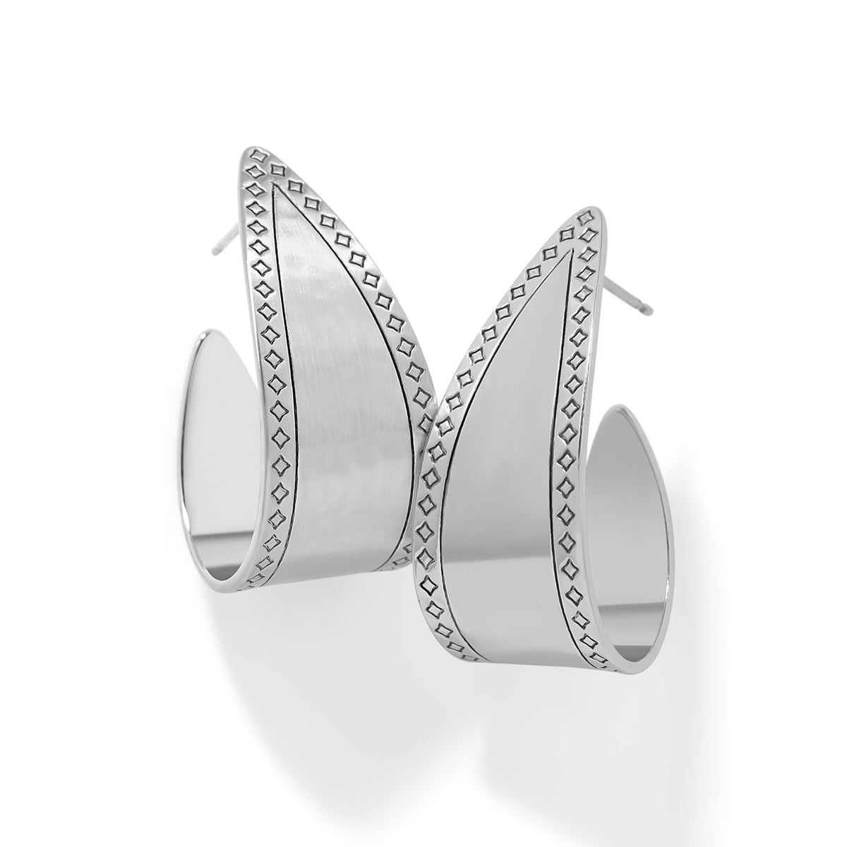 Palm Canyon Bold Hoop Earrings