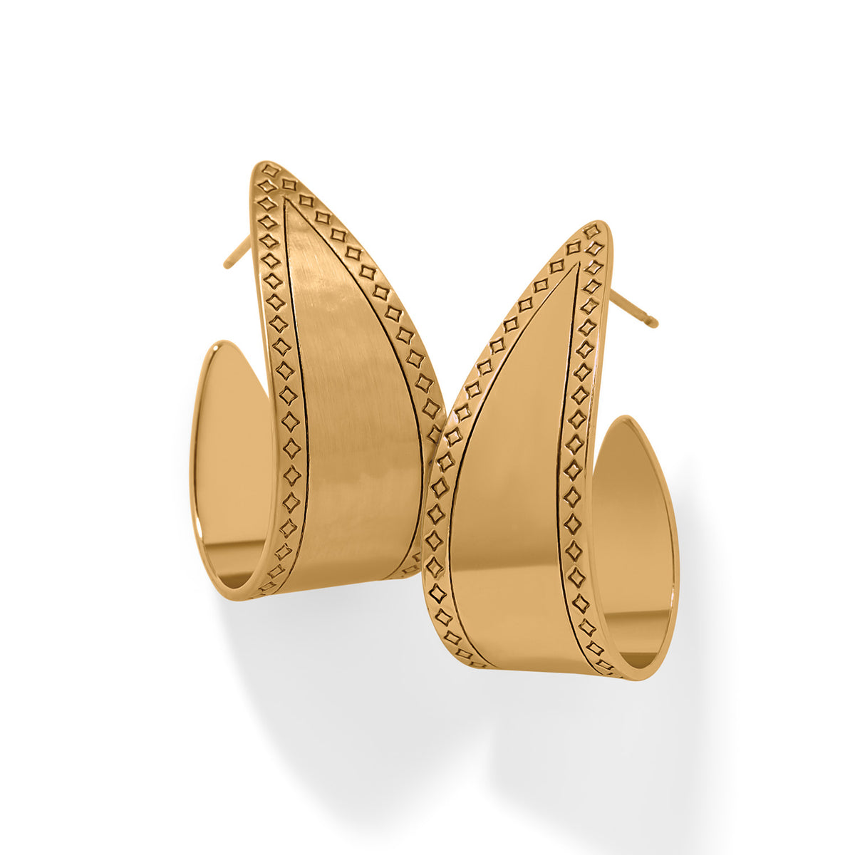 Palm Canyon Bold Hoop Earrings