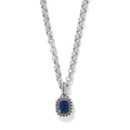 Twinkle Luxe Blue Necklace